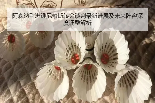 阿森纳引进维尼修斯转会谈判最新进展及未来阵容深度调整解析 | KAIYUN SPORTS